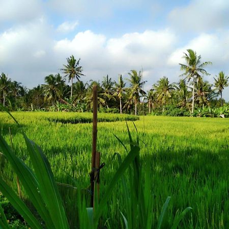 Uma Loka Villa By Shm Ubud  Luaran gambar