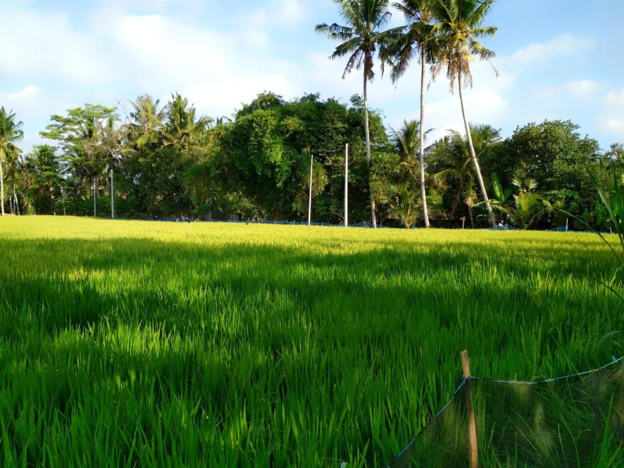 Uma Loka Villa By Shm Ubud  Luaran gambar